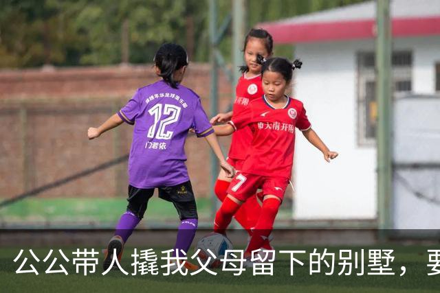 公公带人撬我父母留下的别墅,要卖1500万给小姑子还赌债,我掏出手机报了警,顺便叫来一大群记者