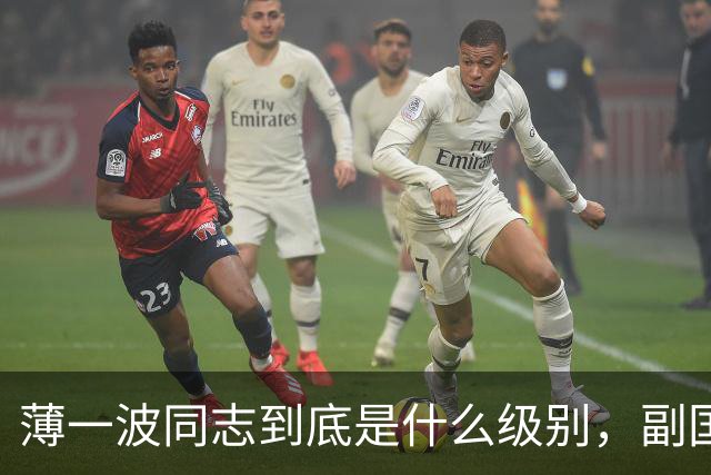 薄一波同志到底是什么级别，副国级？还是正国级？